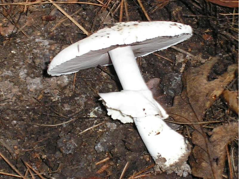 ....il seguito di domenica 2